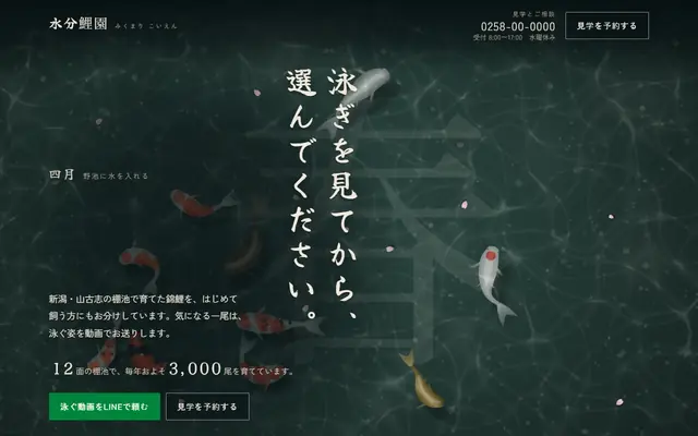 水分鯉園の紹介データの最初の画面